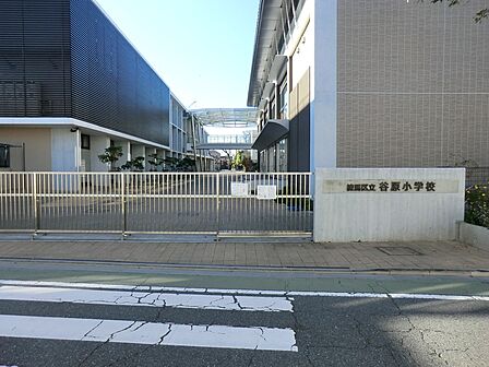 小学校 390m 練馬区立谷原小学校