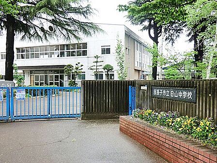 中学校 990m 我孫子市立白山中学校