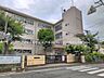 周辺：中学校 750m 松戸市立第三中学校