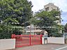 周辺：小学校 800m 川口市立前川東小学校