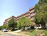 周辺：小学校 550m 松戸市立河原塚小学校