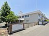 周辺：幼稚園・保育園 249m 学校法人東葛学園柏さくら幼稚園
