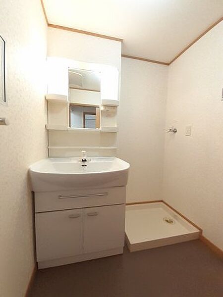 画像10:ゆったりとスペースのある洗面所