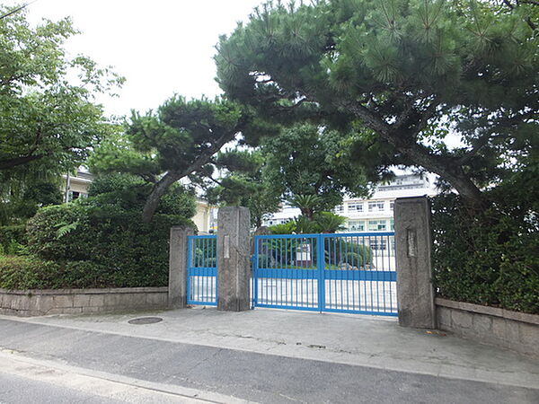 画像21:小学校「広島市立大芝小学校まで667ｍ」