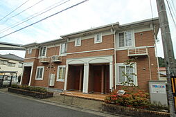 ＬＵＰＩＮＡＳ