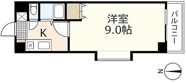 広島県広島市安佐南区川内6丁目(賃貸マンション1K・3階・24.66㎡)の写真 その2