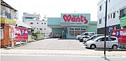 ドラックストア「ウォンツ五日市コイン通り店まで1170ｍ」