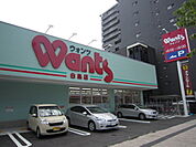 ドラックストア「ウォンツ白島店まで417ｍ」