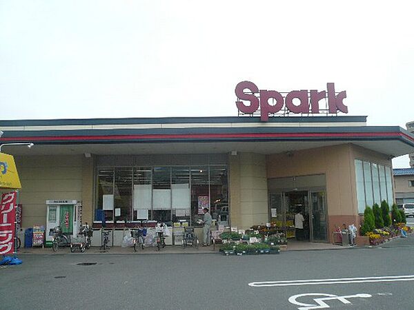 画像16:スーパー「スパーク廿日市店まで124ｍ」