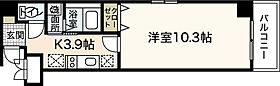 ウイング十日市  ｜ 広島県広島市中区十日市町1丁目（賃貸マンション1K・2階・30.07㎡） その2