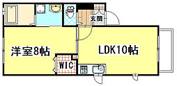 クオレ旭 1LDKの間取図画像