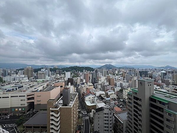 ウイング宝町ファイブ ｜広島県広島市中区宝町(賃貸マンション3LDK・20階・72.55㎡)の写真 その13