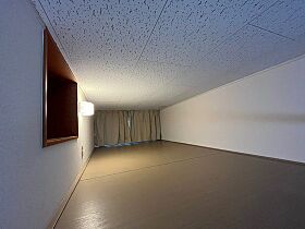 レオパレスＣｈａｍｂｒｅ　Ｎ  ｜ 広島県広島市中区光南3丁目（賃貸アパート1K・1階・20.28㎡） その8