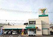スーパー「ユアーズ戸坂店まで261ｍ」