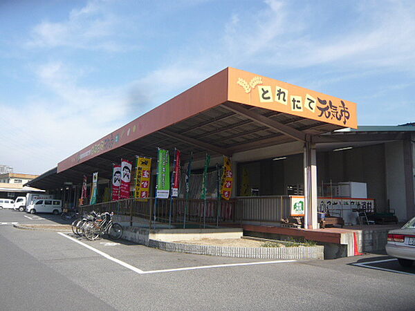 画像19:スーパー「とれたて元気市広島店まで553ｍ」