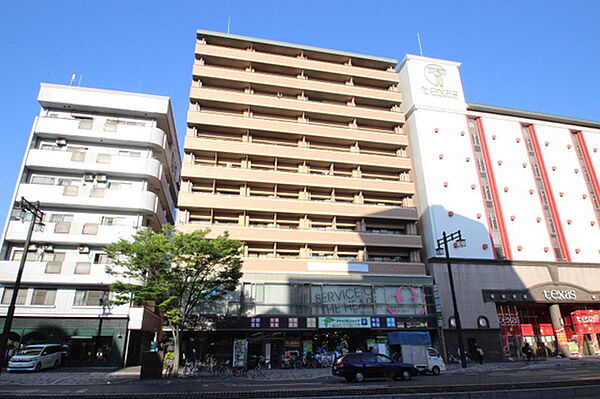 広島県広島市南区段原3丁目(賃貸マンション2LDK・7階・47.60㎡)の写真 その1