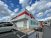 ドラックストア「くすりのレデイ広島西条店まで1121ｍ」