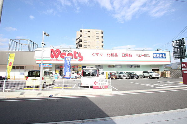 広島県広島市中区白島北町(賃貸マンション1LDK・2階・46.38㎡)の写真 その20