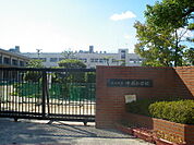 小学校「広島市立中島小学校まで537ｍ」