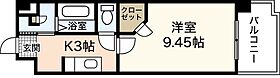 広島県広島市中区東白島町（賃貸マンション1K・11階・29.97㎡） その2