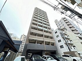 広島県広島市中区堺町2丁目（賃貸マンション1LDK・8階・29.19㎡） その1