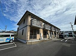 アクシス Ｏｇａｔａ