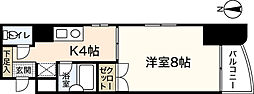 アピアレンスマエダ 1Kの間取図画像