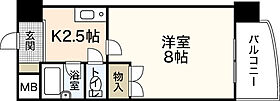 広島県広島市中区本川町2丁目（賃貸マンション1K・5階・24.07㎡） その2