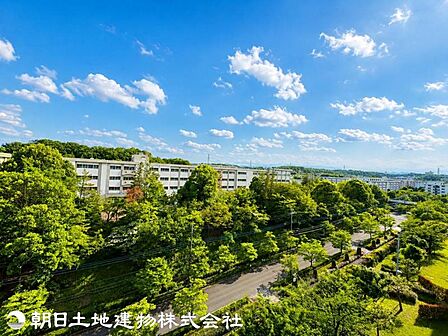 【2026年05月撮影】