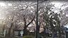 周辺：西平岡公園迄220ｍ
