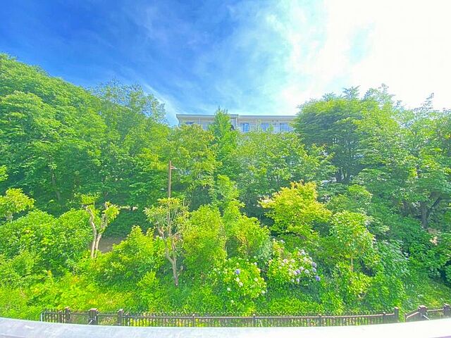 その他 グリーンメゾン南大沢　13-17号棟 1階/-