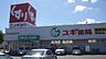 周辺：スギ薬局　東岩田店（350m）