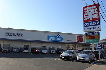 ウエルシア 豊橋花中町店(600m)