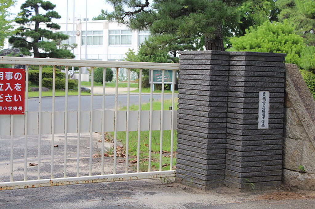 Image 11