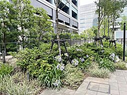 植栽も綺麗に手入れされております