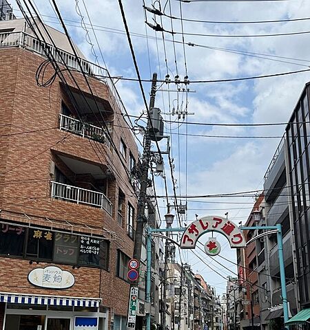 周辺 ハイネス文京本駒込 8階/-