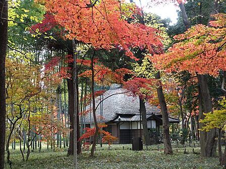 蘆花恒春園(685m)