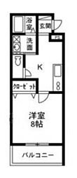 シターレ 1Kの間取図画像