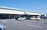 周辺：ドラッグストア 「カワチ薬品伊勢崎西店まで503m」