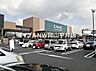 周辺：カインズ岡山南店 299m