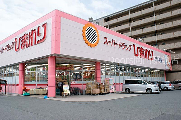 画像13:スーパードラッグひまわり平島店 7195m
