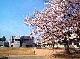 岡山県岡山市中区中井（賃貸マンション3LDK・3階・66.34㎡） その18