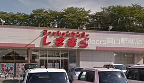 岡山県岡山市南区東畦（賃貸アパート2LDK・1階・51.76㎡） その21