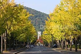 岡山県岡山市北区学南町3丁目（賃貸マンション1K・1階・29.16㎡） その11