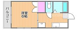 ヴィガーライフ雅I 1階/-