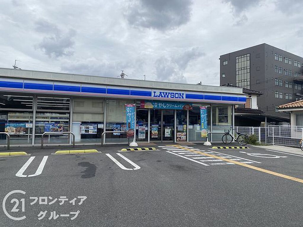 Image 9