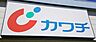 周辺：カワチ薬品大平店 337m
