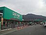周辺：カインズ壬生店 4026m