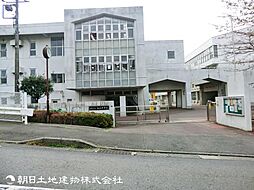 ルピナス四季の森公園