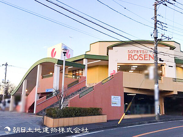 ルピナス四季の森公園